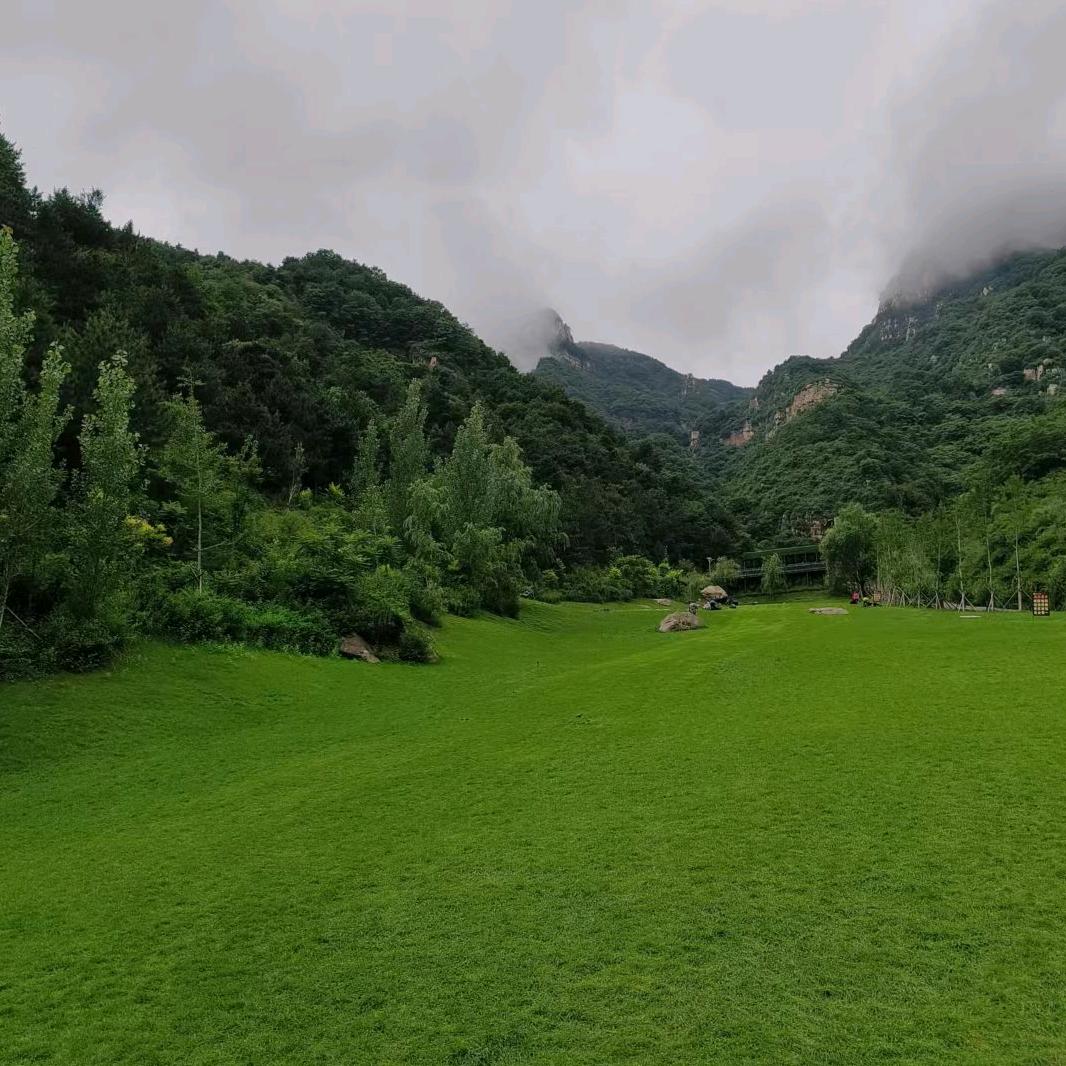 适者生存：肥哥