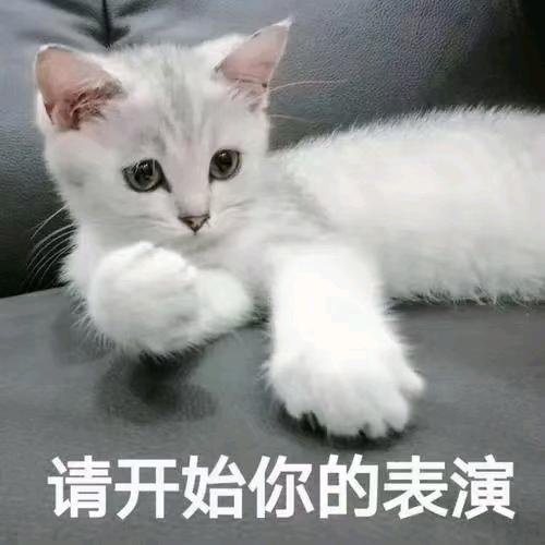 女人家的秘密