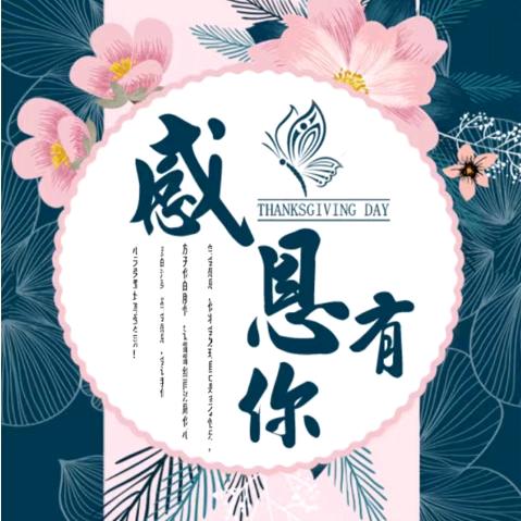紫藤花开