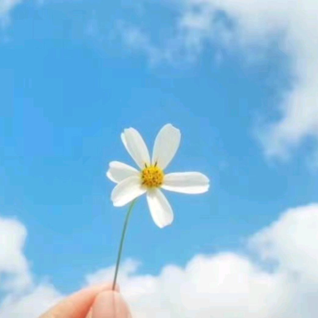 身体健康，开心每一天