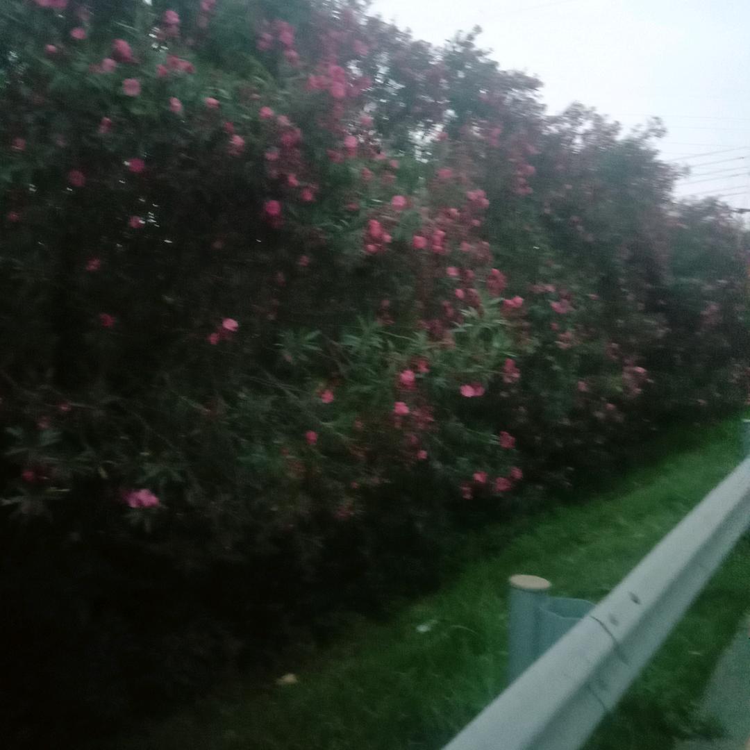 人生已过半
