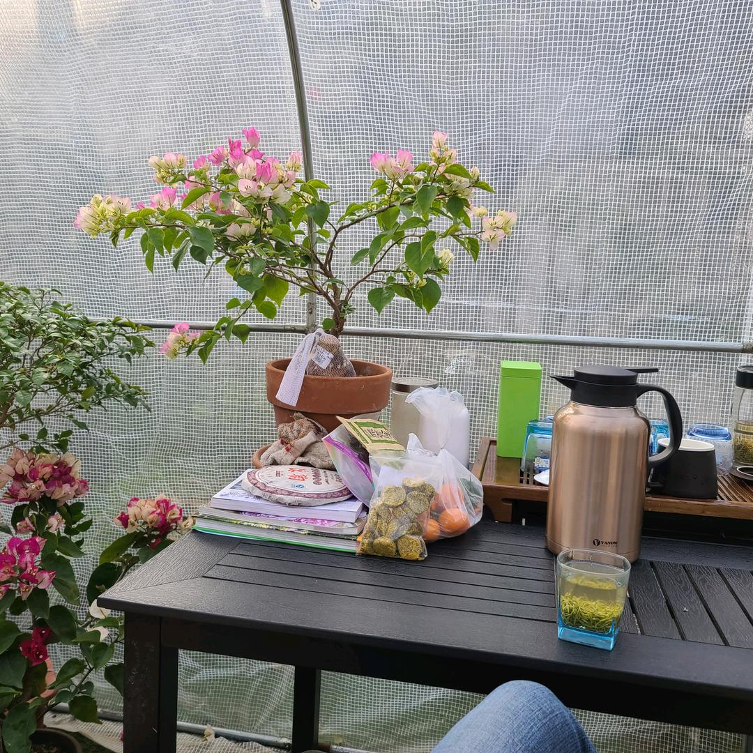 桑桑ss