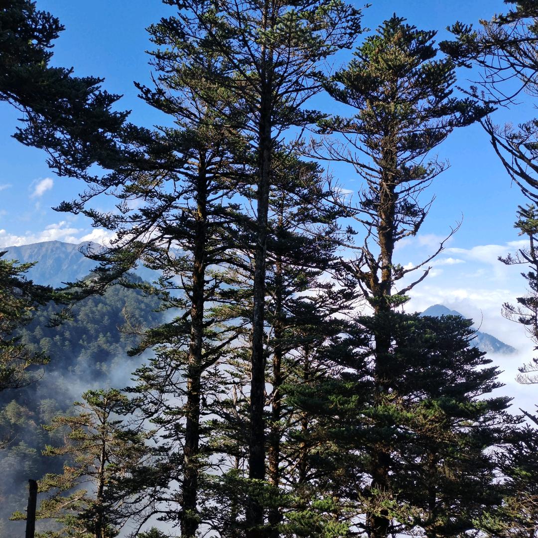 蓝色(づ ●─● )づ