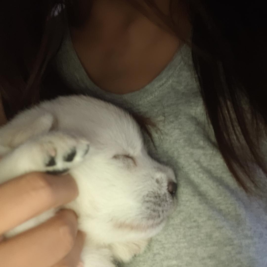 不吃鱼腥草的🐠🐠🐠