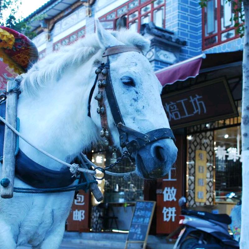 瑞昌市稿将调百货商行
