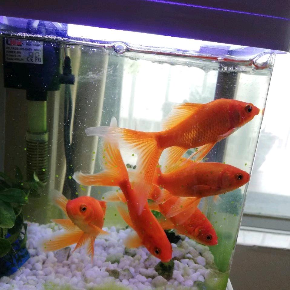 我爱我家