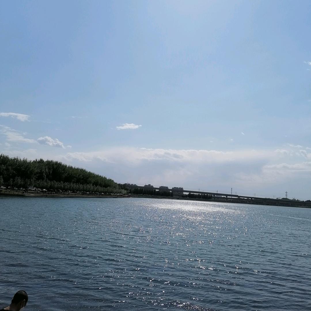 莺歌燕舞