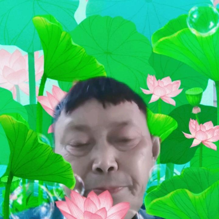 张木修
