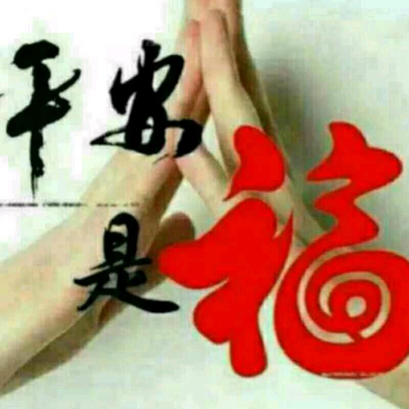 太阳花🌸