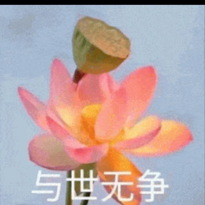 柳絮纷飞