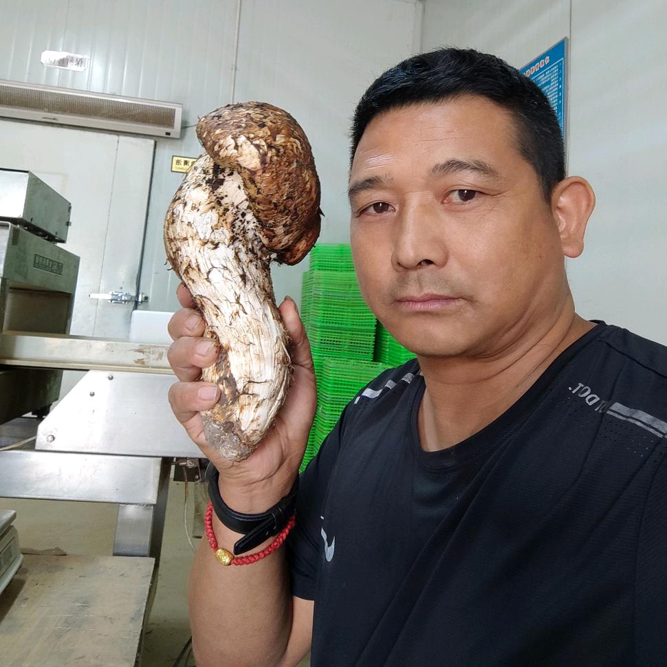 巴顺，云南松茸王菌业有限公司