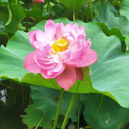 岁月