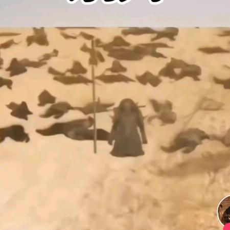 聆听者头像