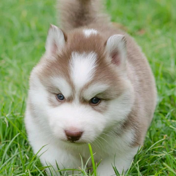 漂洋过海来找你