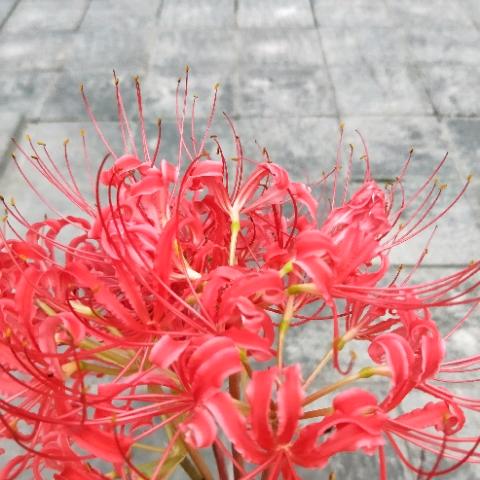 健康一生