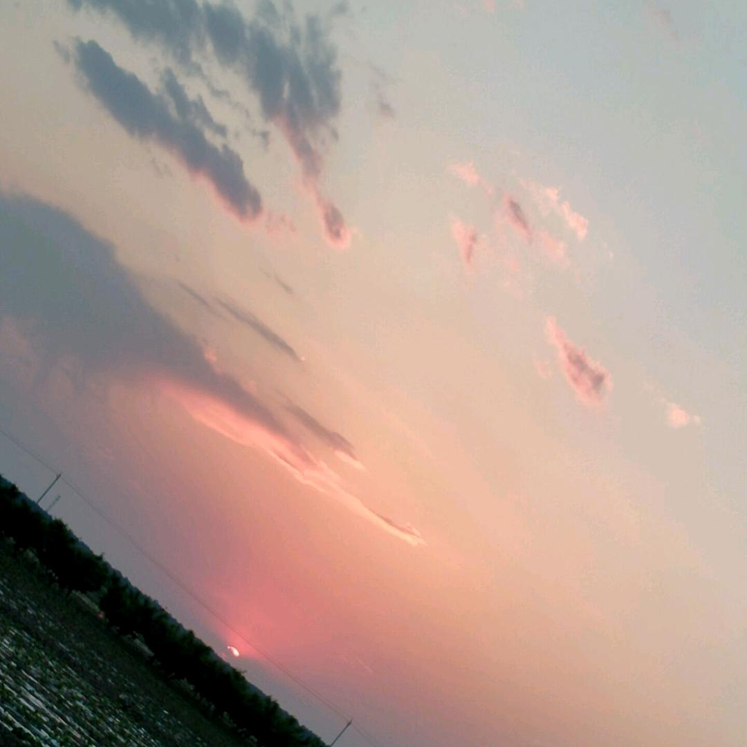 幸福大大家