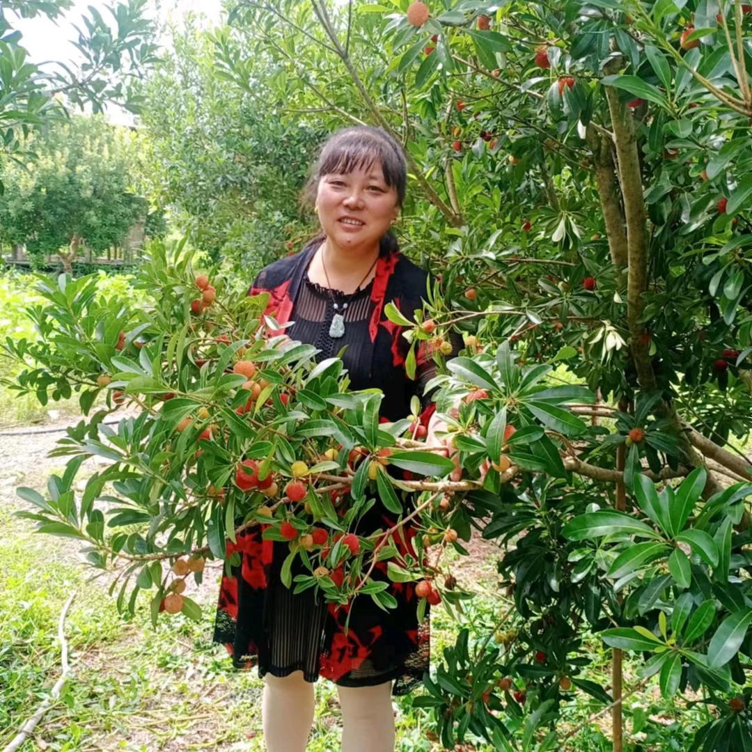 心若止水