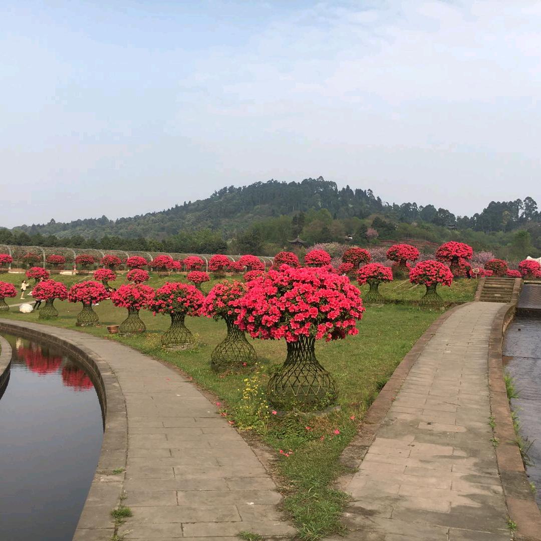 王先生在北漂