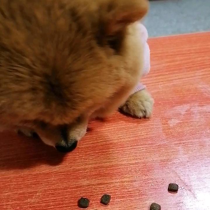 随心