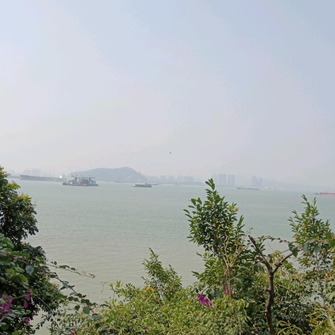 刘bin