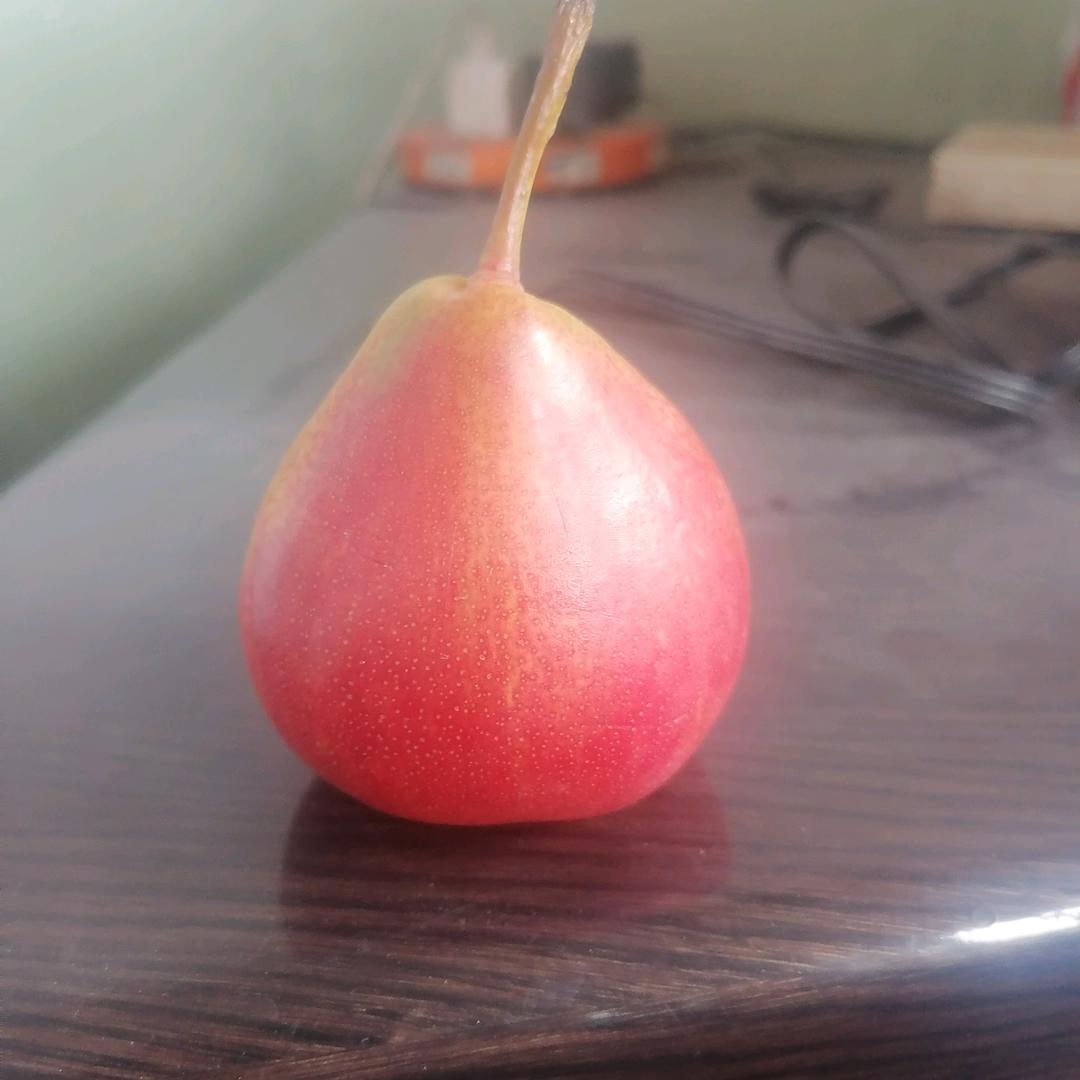 杜行侠