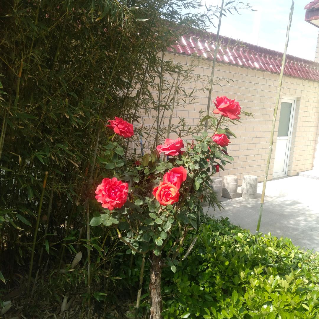 一