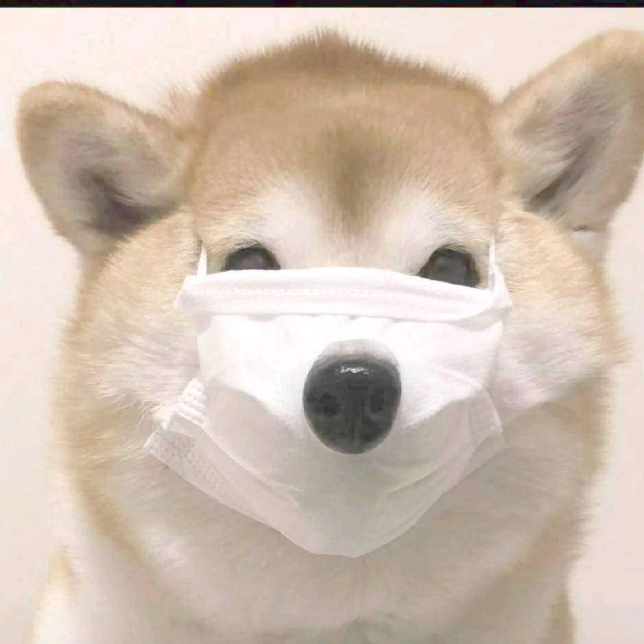 下雪了~