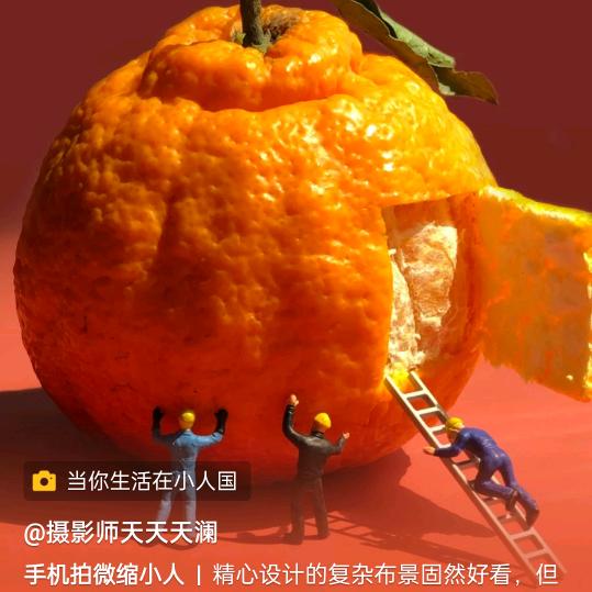 老表哥