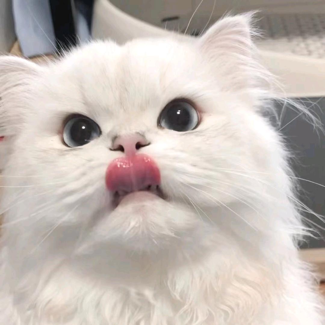 明天必早睡