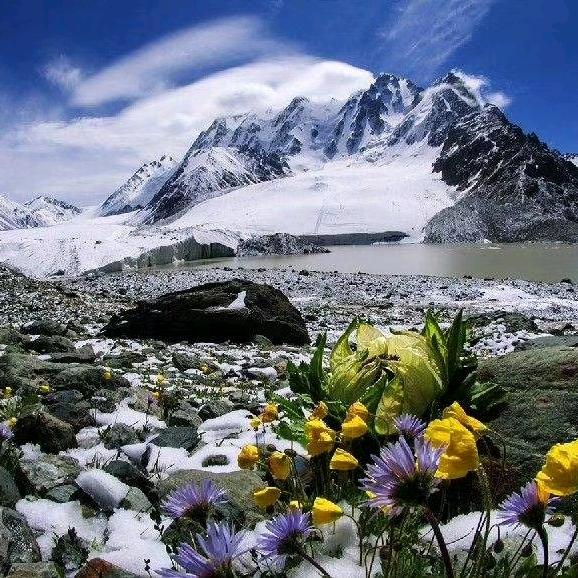 李军峰