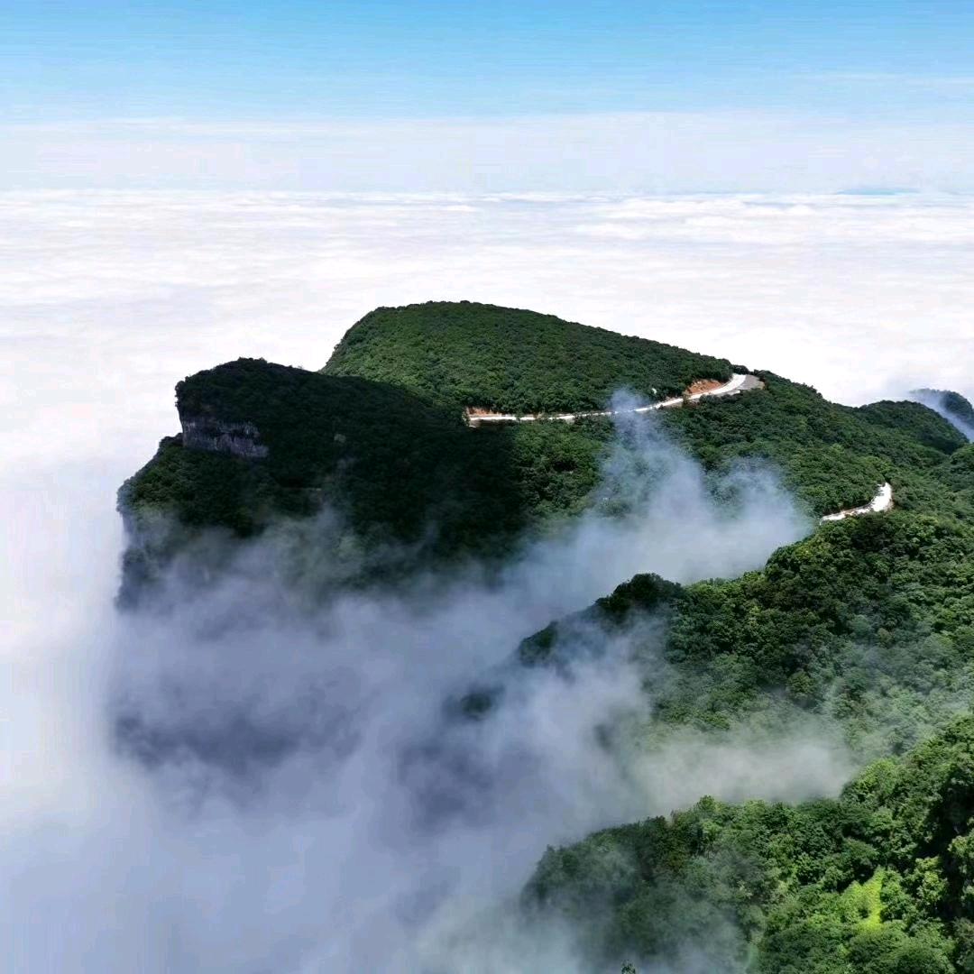 游子