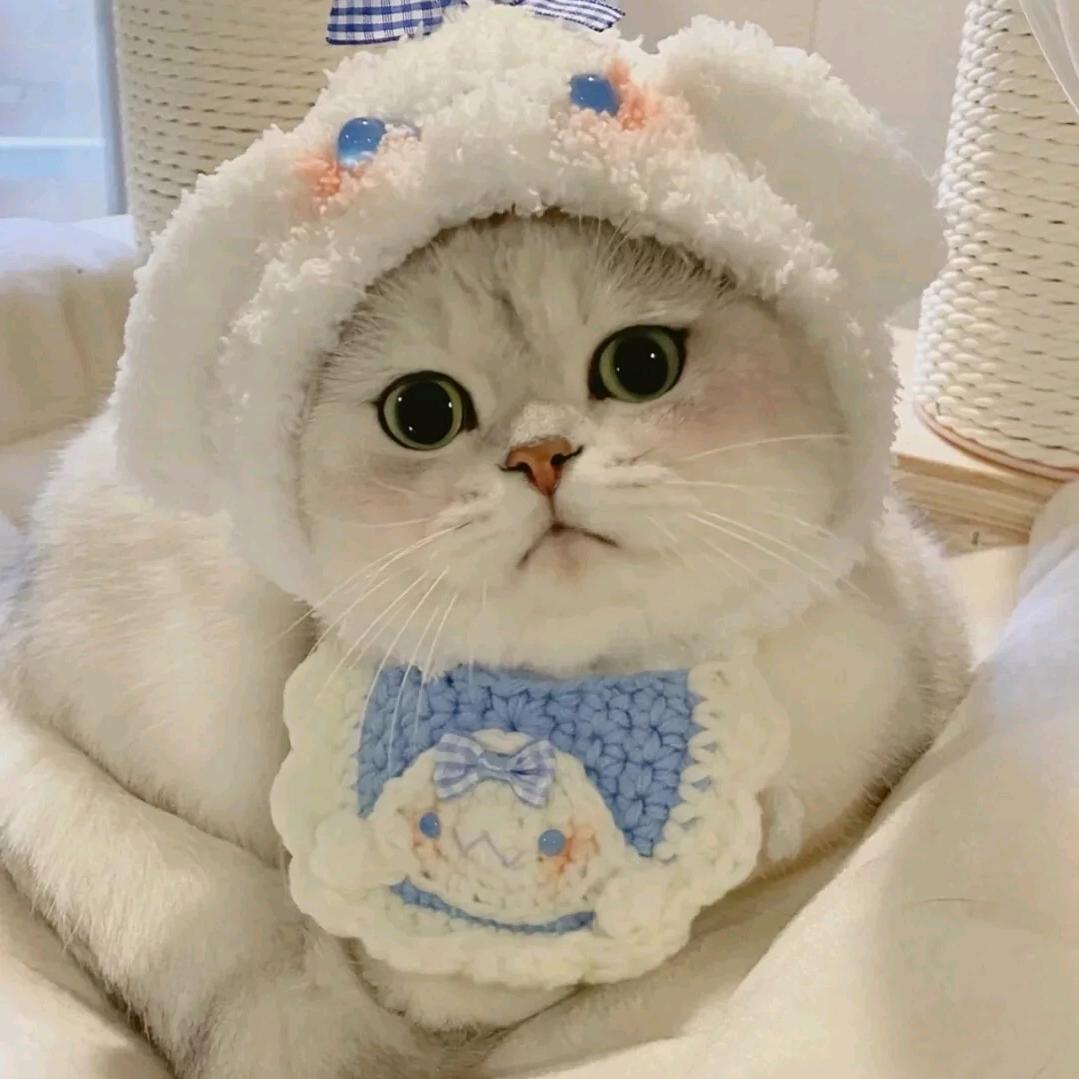 哦