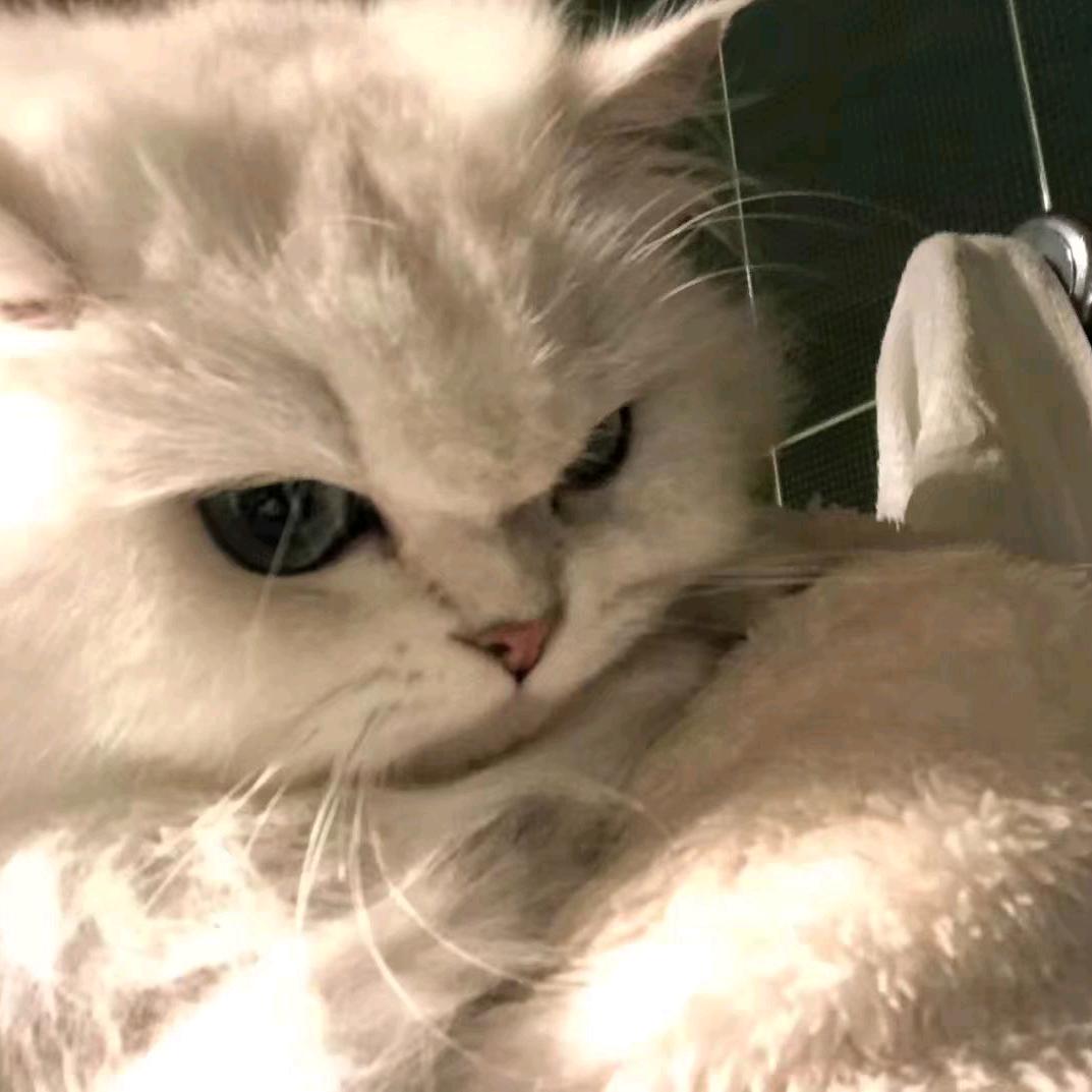 机甲小艾