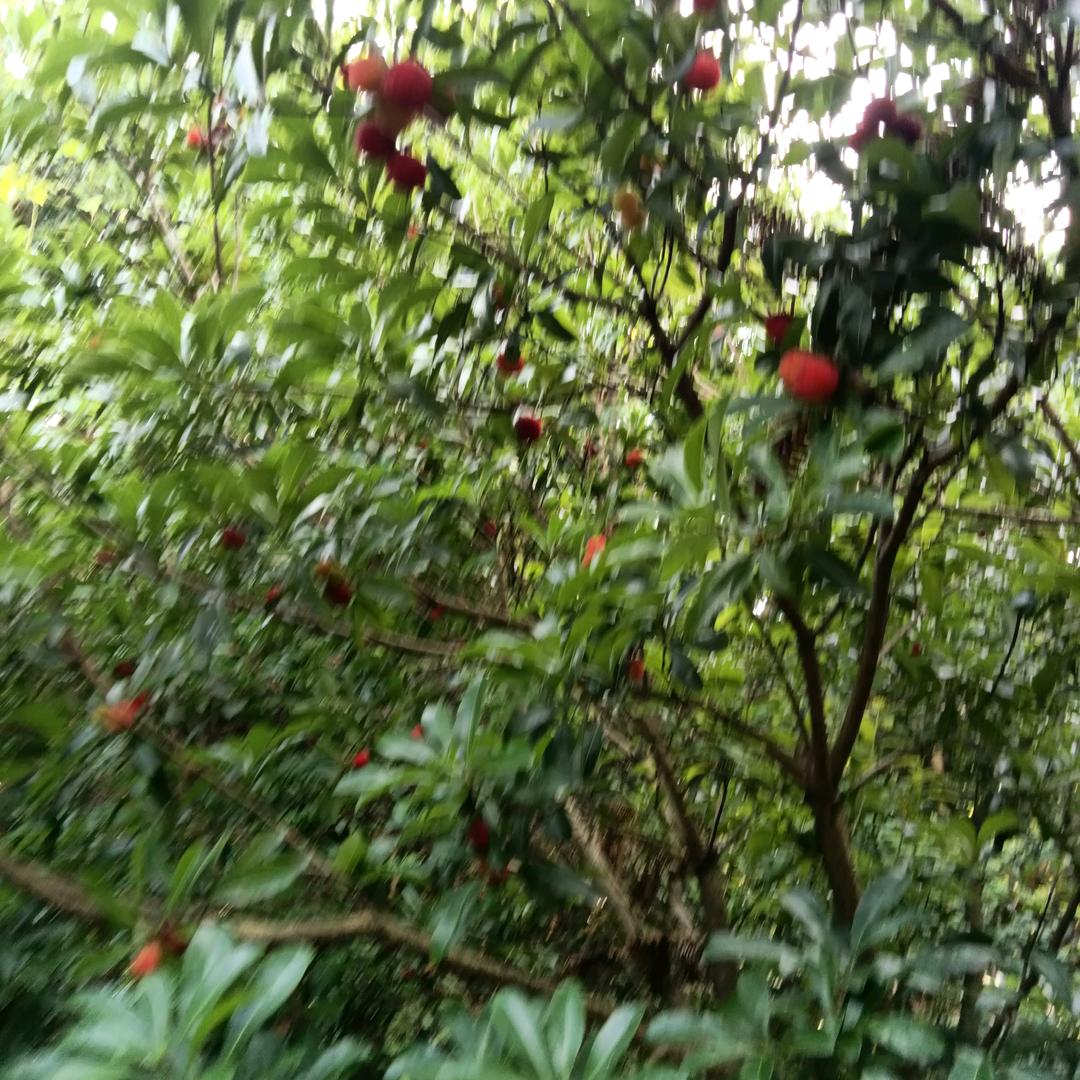 彼此安好