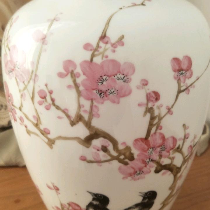 竹子as