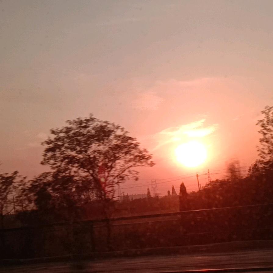 张集初见鲜花店，&人生如梦