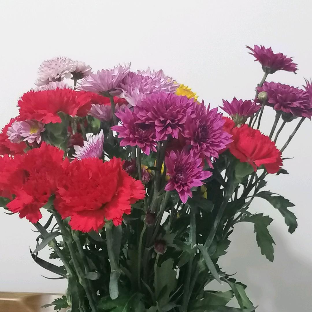 胡玉芳