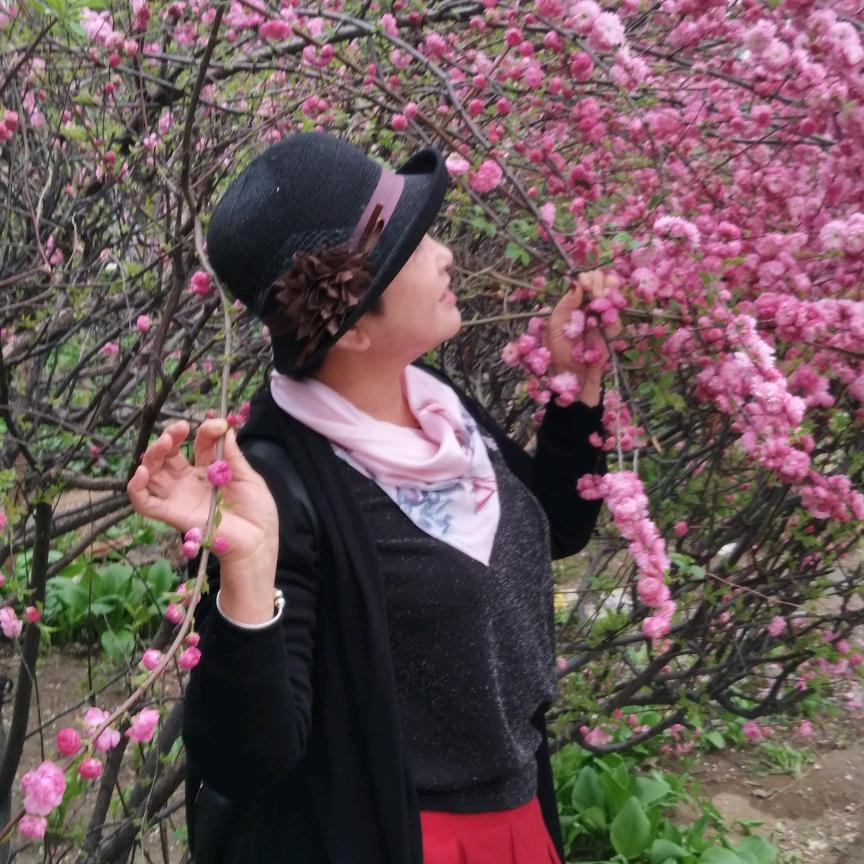 春花秋月 💖🎀