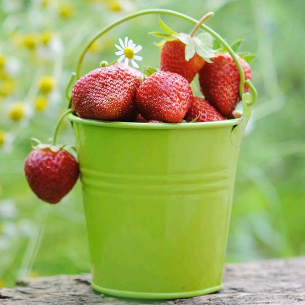 小汪@42重生蜕变成长记录