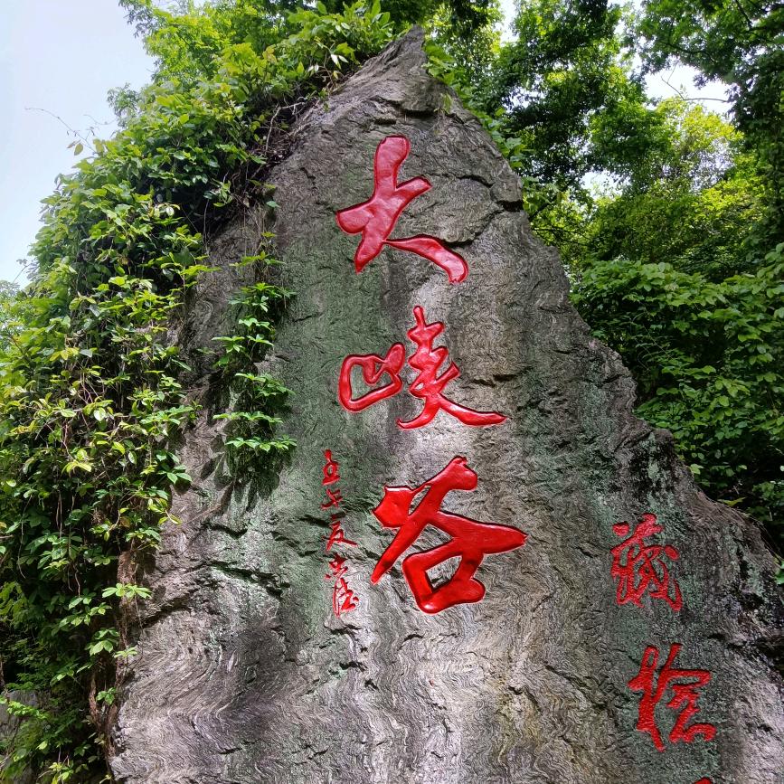 快乐消遥