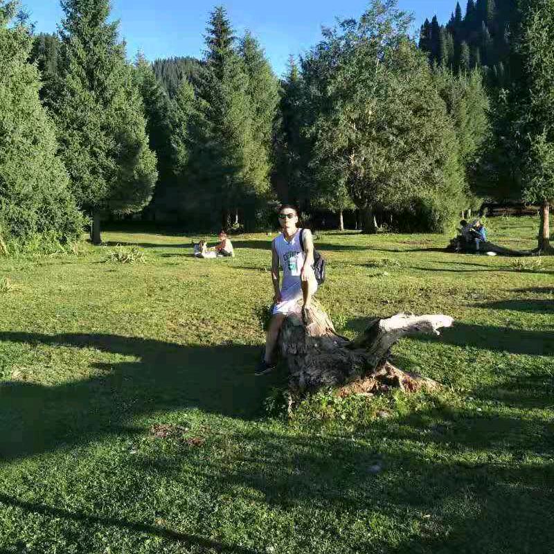 木🌲🌲🌿