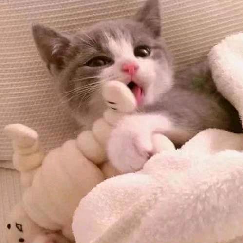 手机用户60331120099