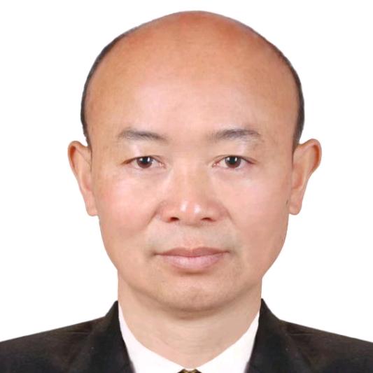 谌岚