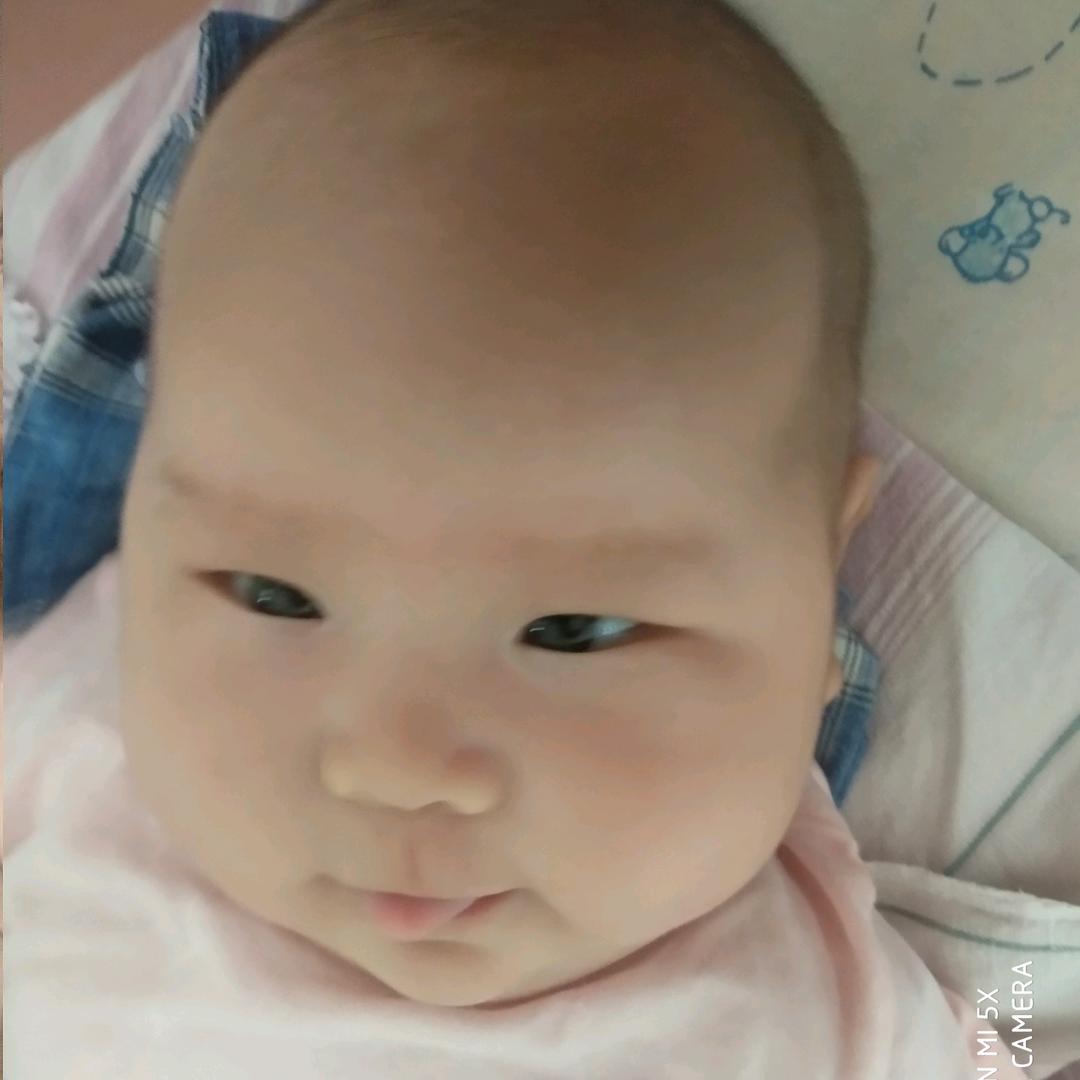 宝贝