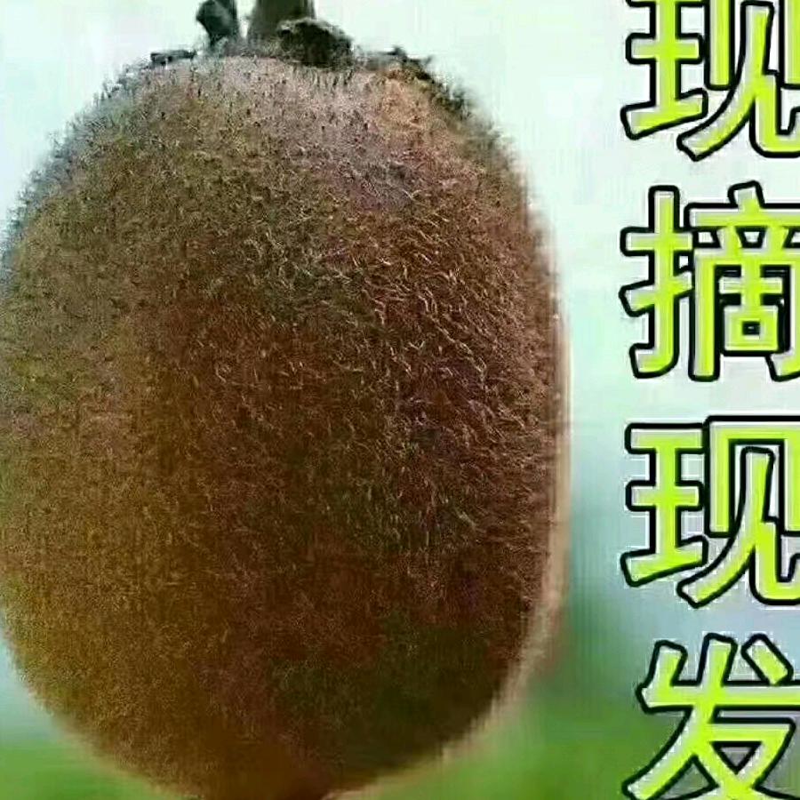 手可摘星陈