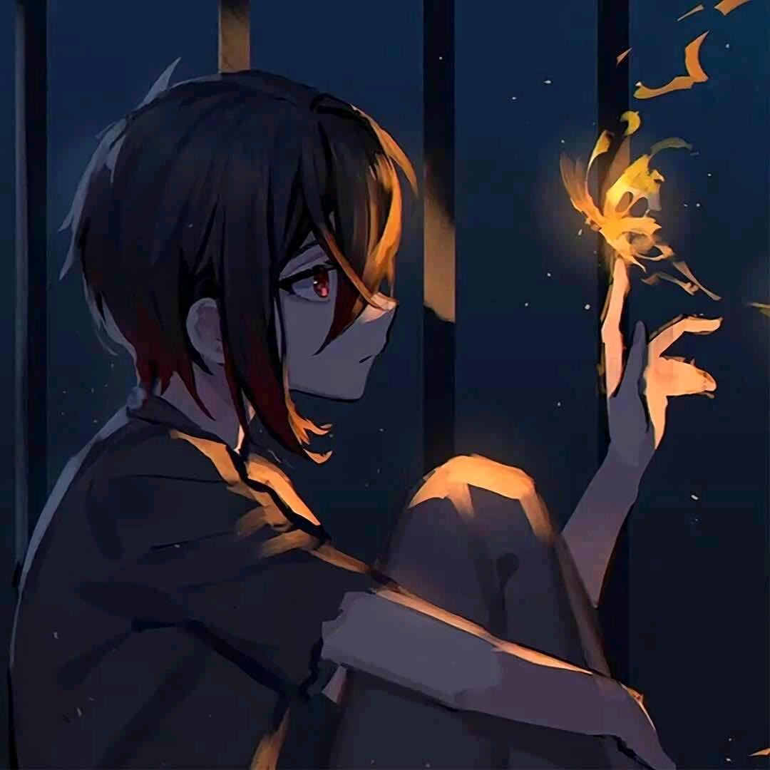 银河探险佳 💫
