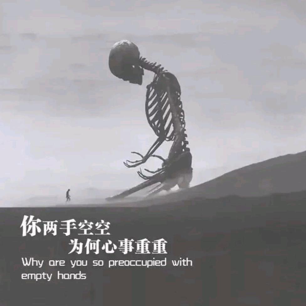 录哥