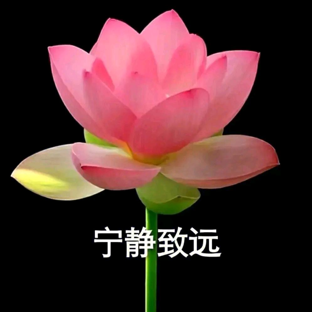 李大姐红娘