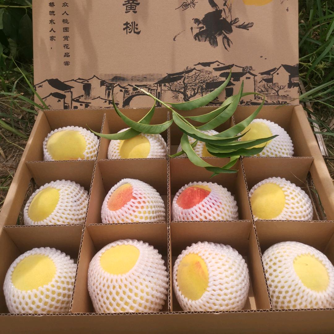 奉贤黄桃（互关）