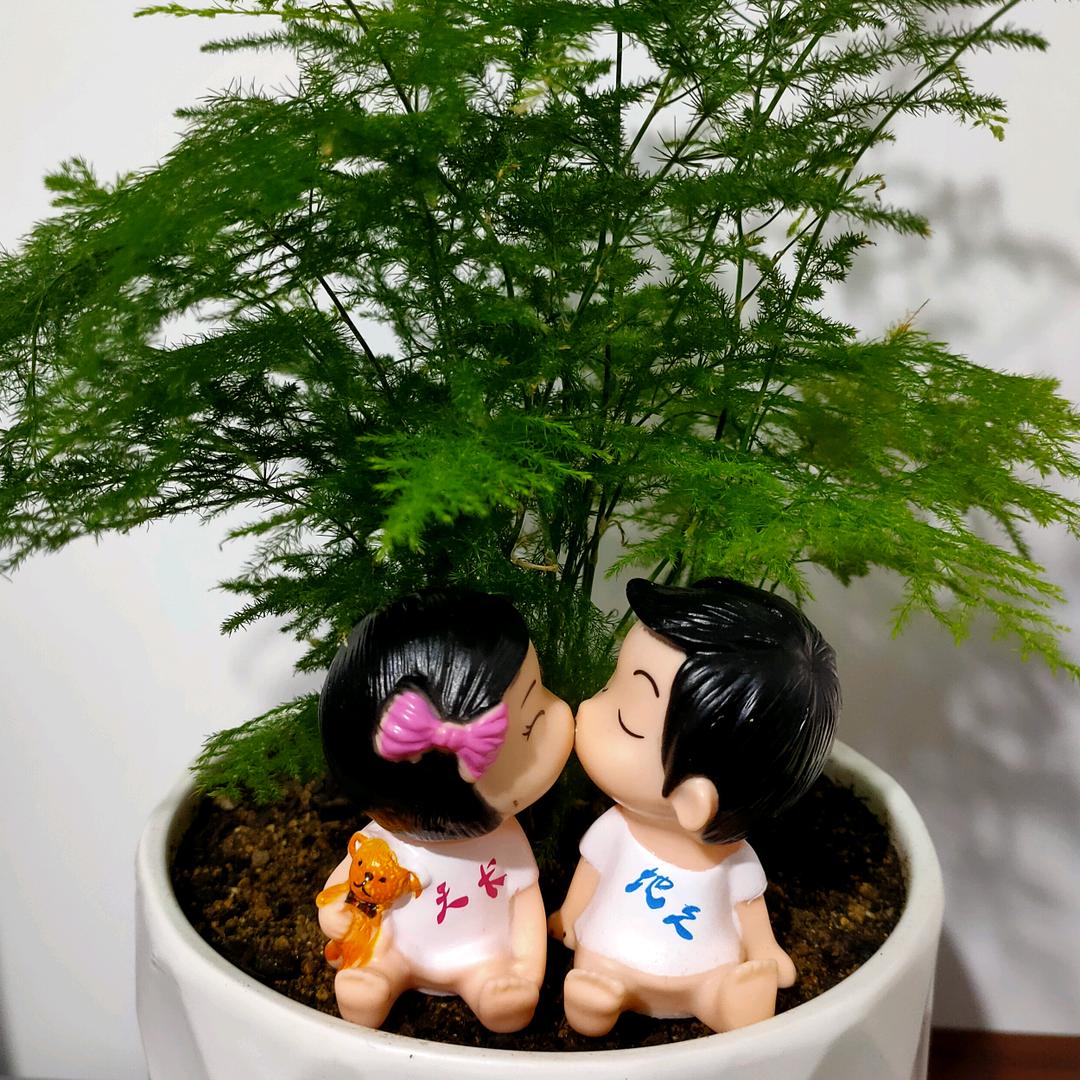 ꧁༺๑许日༒东升๑༻꧂